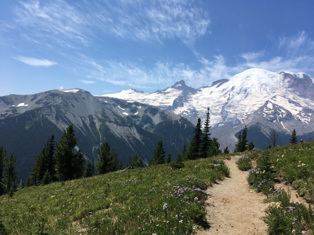 A view of a dirt trail leading to Mt Rainier.